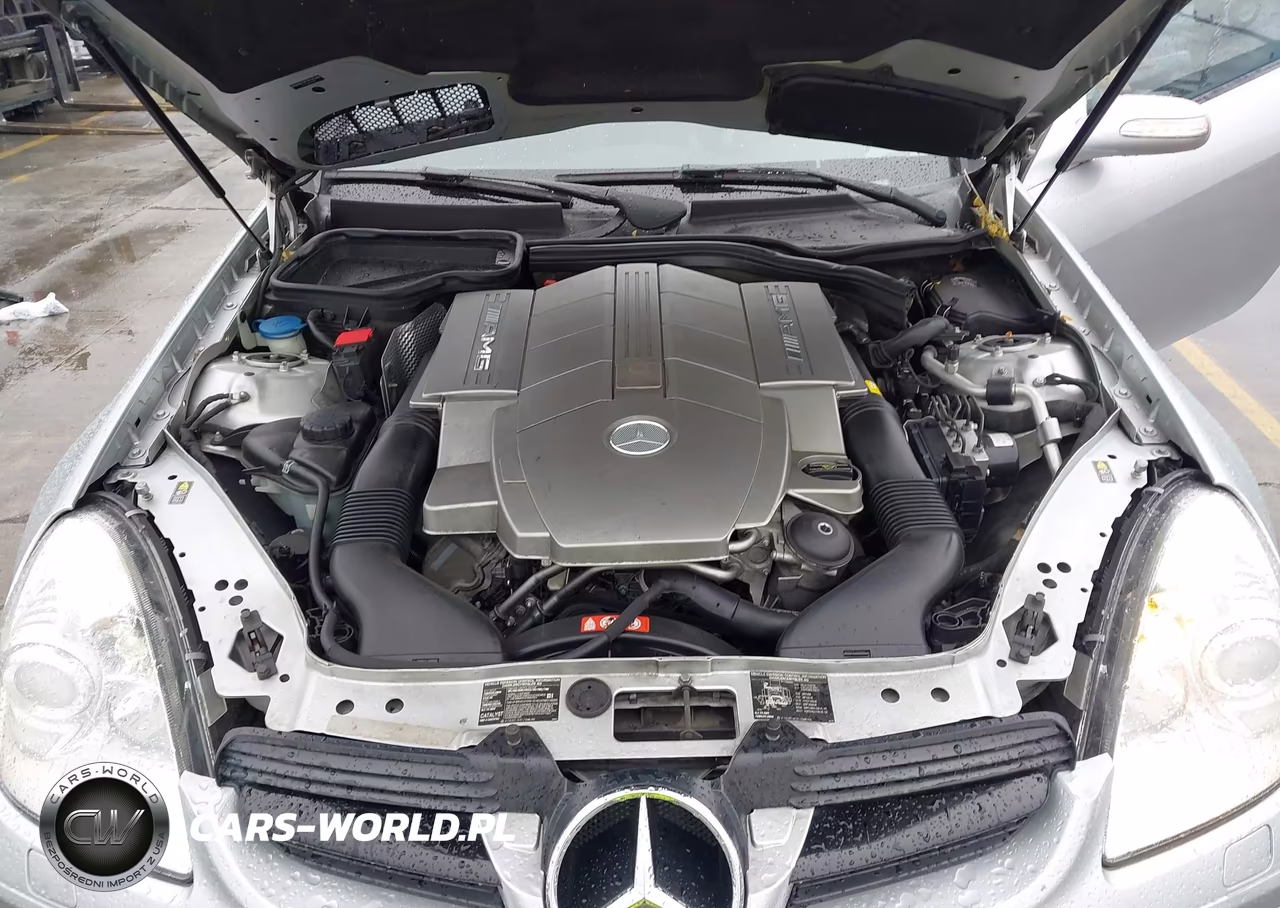 2007 Mercedes-Benz Slk 55 Amg VIN:WDBWK73F77F147600 - 10