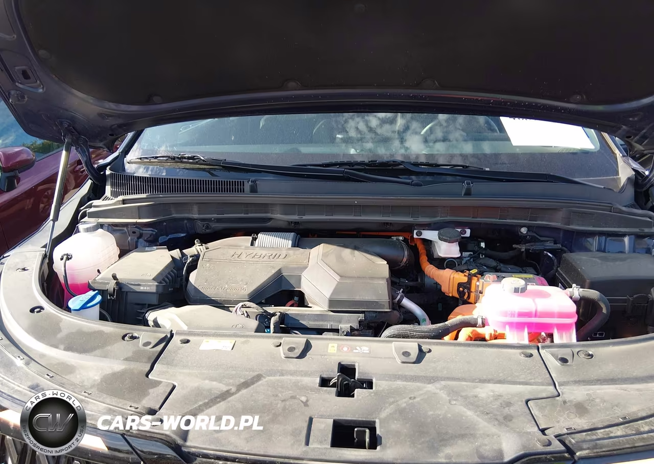 2026 Kia Carnival Mpv Hybrid Lxs VIN:KNDNB5KA3T6162385 - 10