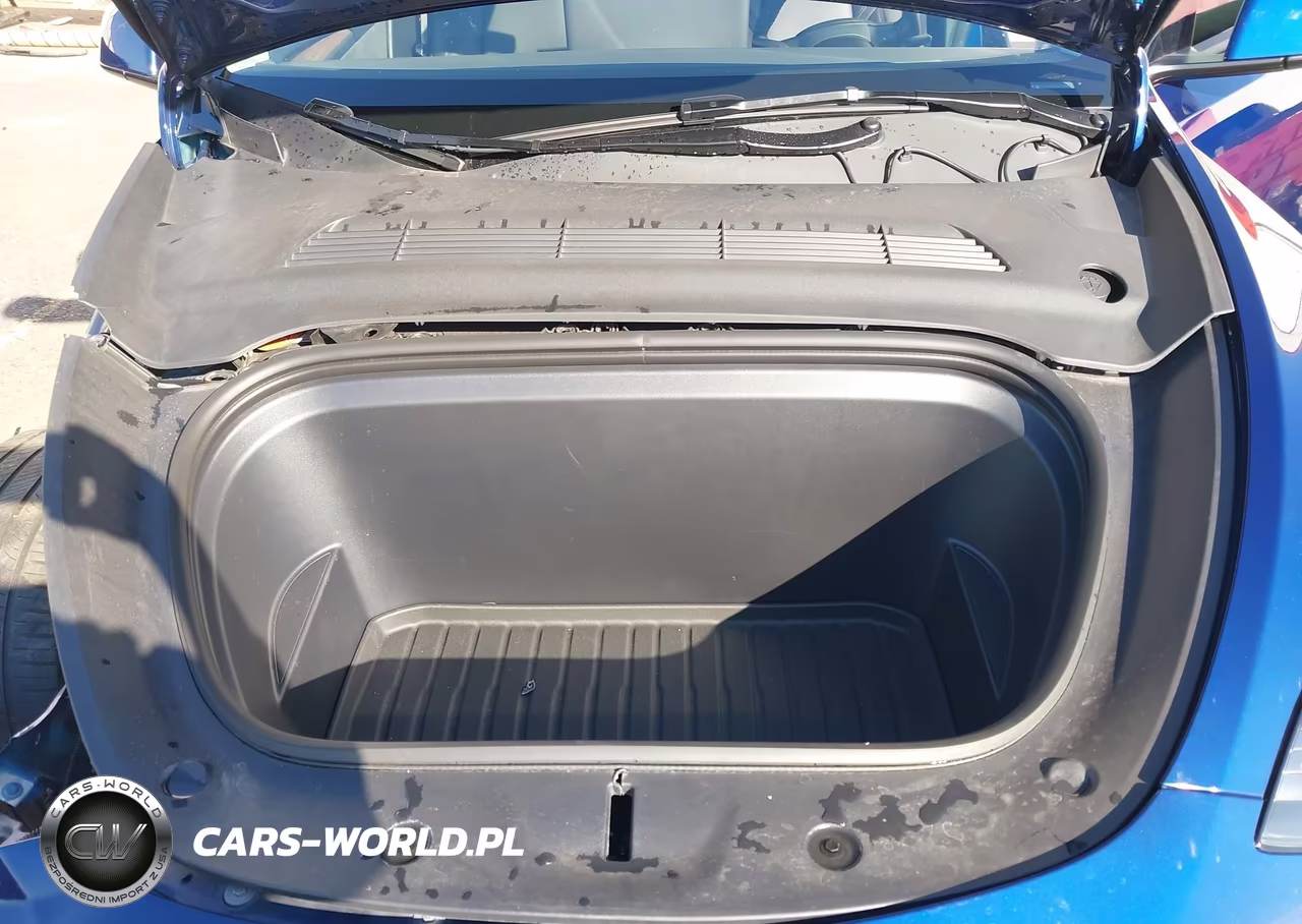 2025 Tesla Model Y Long Range Dual Motor All-Wheel Drive VIN:7SAYGDEE0SA357869 - 10