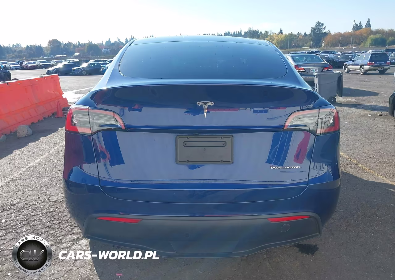 2025 Tesla Model Y Long Range Dual Motor All-Wheel Drive VIN:7SAYGDEE0SA357869 - 16