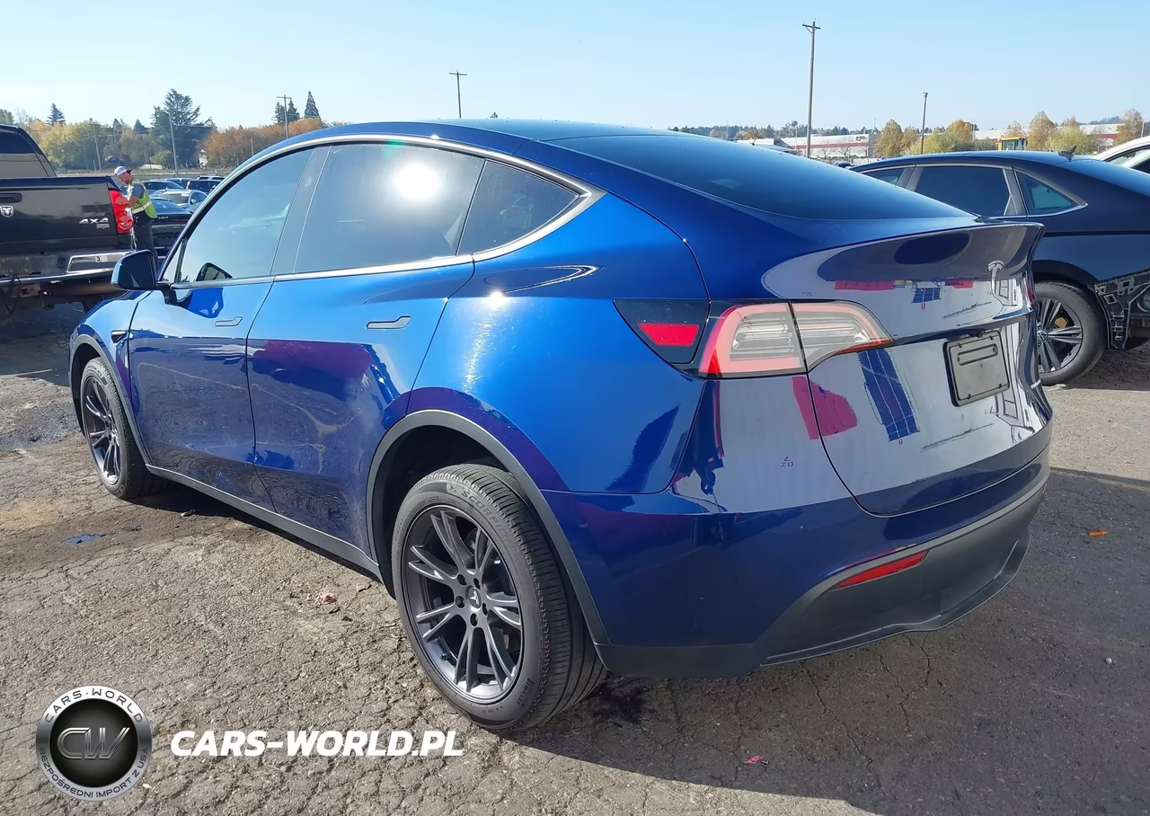2025 Tesla Model Y Long Range Dual Motor All-Wheel Drive VIN:7SAYGDEE0SA357869 - 3