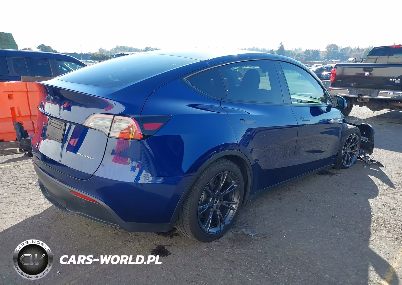 2025 Tesla Model Y Long Range Dual Motor All-Wheel Drive VIN:7SAYGDEE0SA357869 - 4