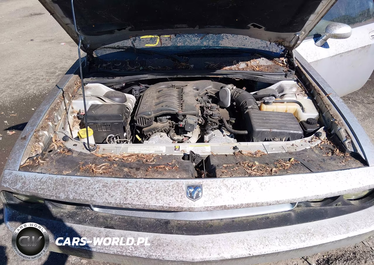 2010 Dodge Challenger Se VIN:2B3CJ4DVXAH314695 - 10