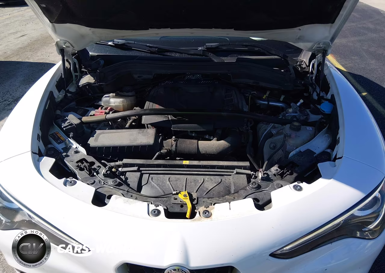 2020 Alfa Romeo Stelvio Sport Awd VIN:ZASPAKAN0L7C92270 - 10