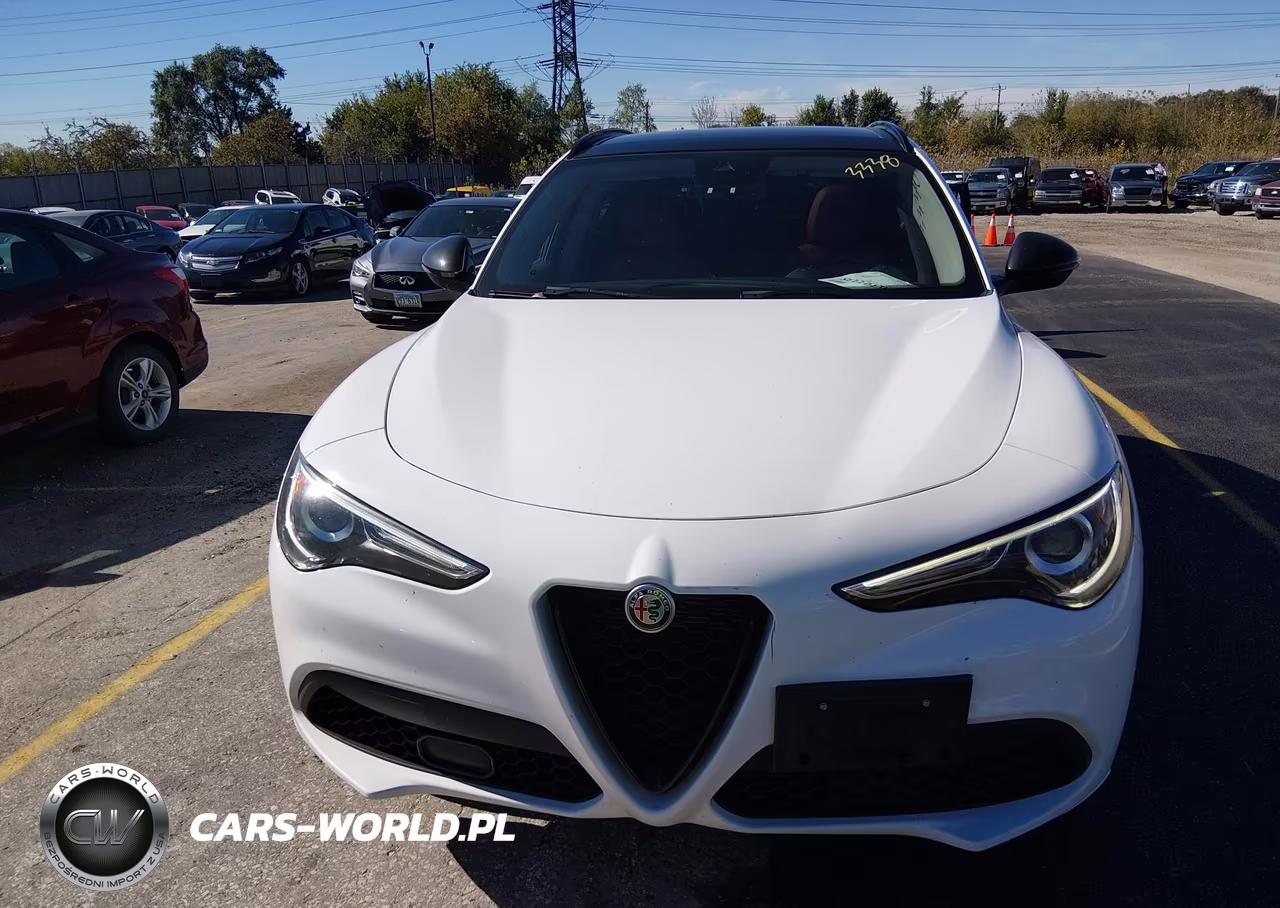 2020 Alfa Romeo Stelvio Sport Awd VIN:ZASPAKAN0L7C92270 - 12