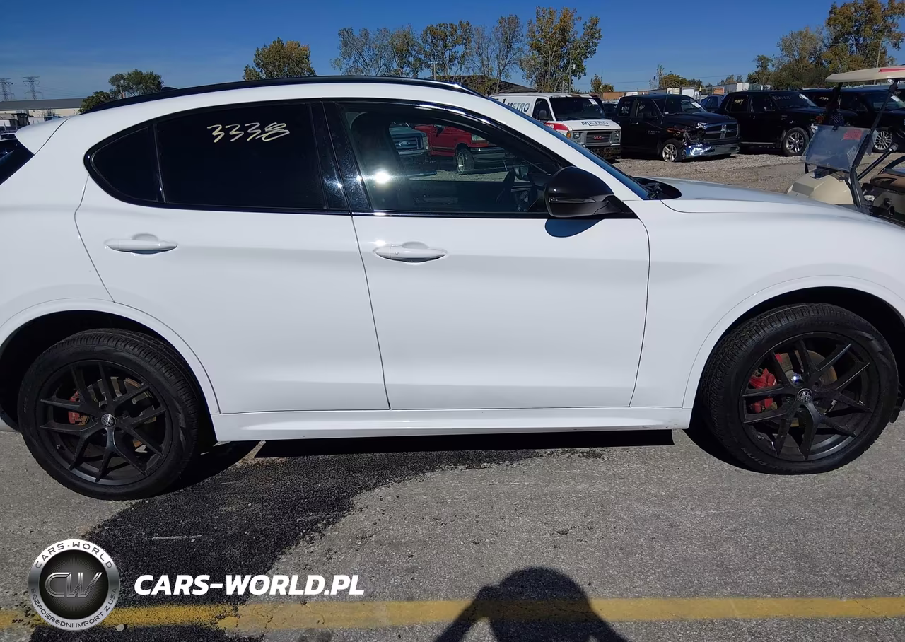 2020 Alfa Romeo Stelvio Sport Awd VIN:ZASPAKAN0L7C92270 - 13
