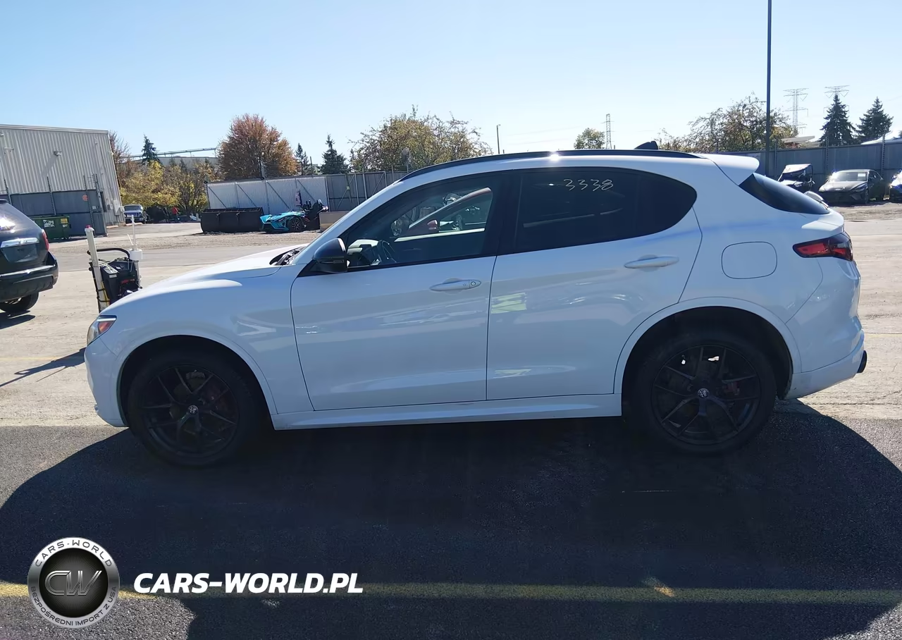 2020 Alfa Romeo Stelvio Sport Awd VIN:ZASPAKAN0L7C92270 - 14