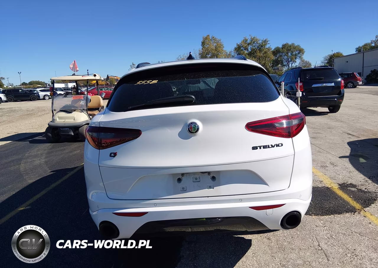 2020 Alfa Romeo Stelvio Sport Awd VIN:ZASPAKAN0L7C92270 - 16