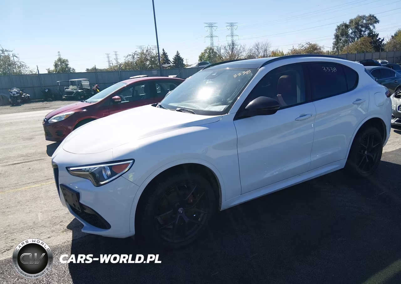 2020 Alfa Romeo Stelvio Sport Awd VIN:ZASPAKAN0L7C92270 - 2
