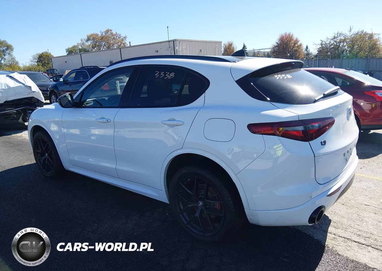 2020 Alfa Romeo Stelvio Sport Awd VIN:ZASPAKAN0L7C92270 - 3