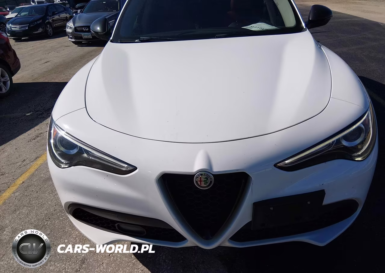 2020 Alfa Romeo Stelvio Sport Awd VIN:ZASPAKAN0L7C92270 - 6