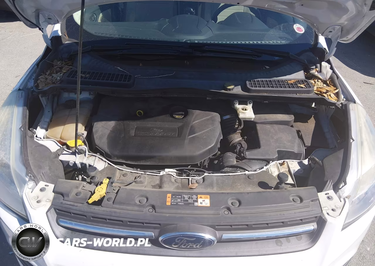 2015 Ford Escape Se VIN:1FMCU0G96FUA93030 - 10