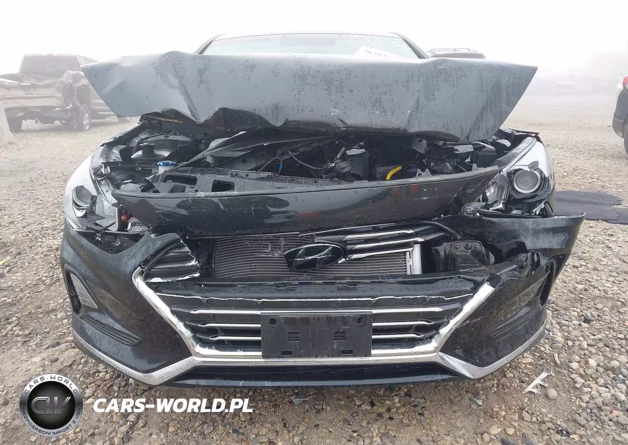 2018 Hyundai Sonata Se VIN:5NPE24AF6JH626392 - 12