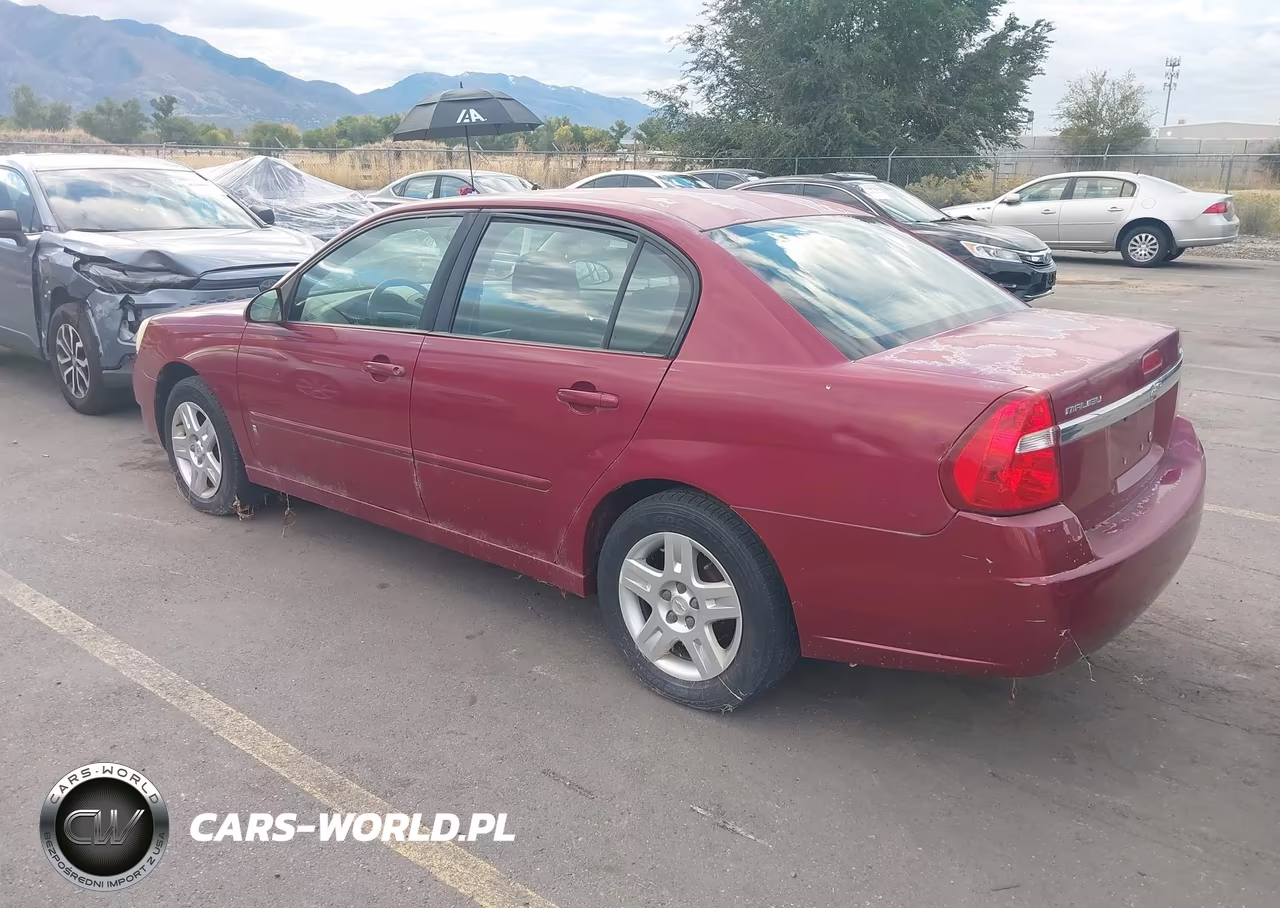 2007 Chevrolet Malibu Lt VIN:1G1ZT58F37F117074 - 3