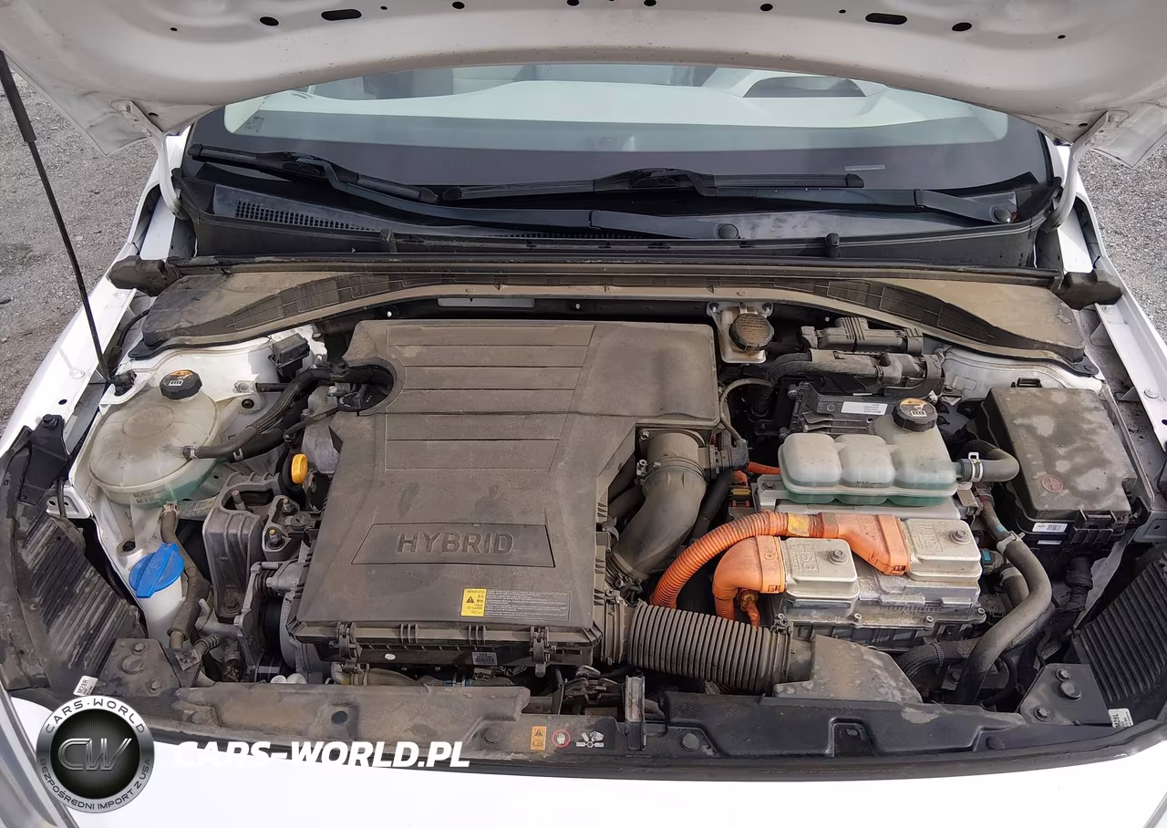 2020 Hyundai Ioniq Hybrid Blue VIN:KMHC65LC0LU219595 - 10