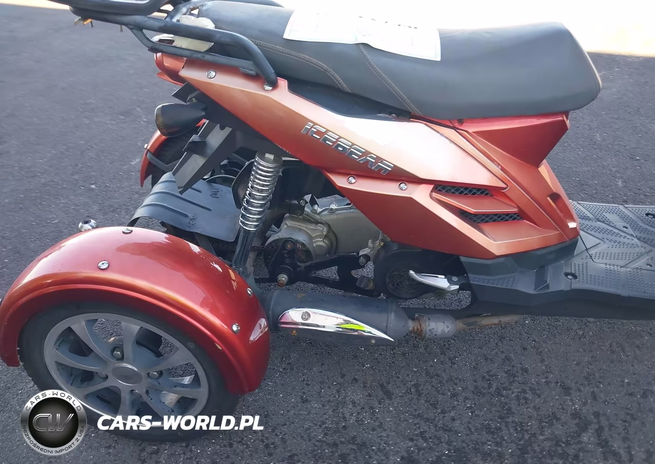 2017 Icebear Pmz125-2 VIN:L37LMGFV7HZ020001 - 8
