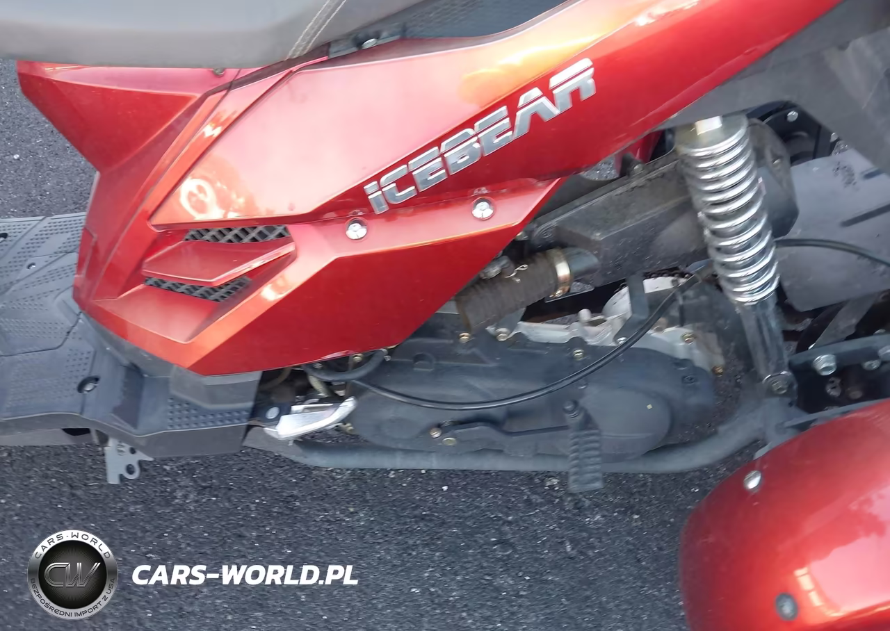 2017 Icebear Pmz125-2 VIN:L37LMGFV7HZ020001 - 9