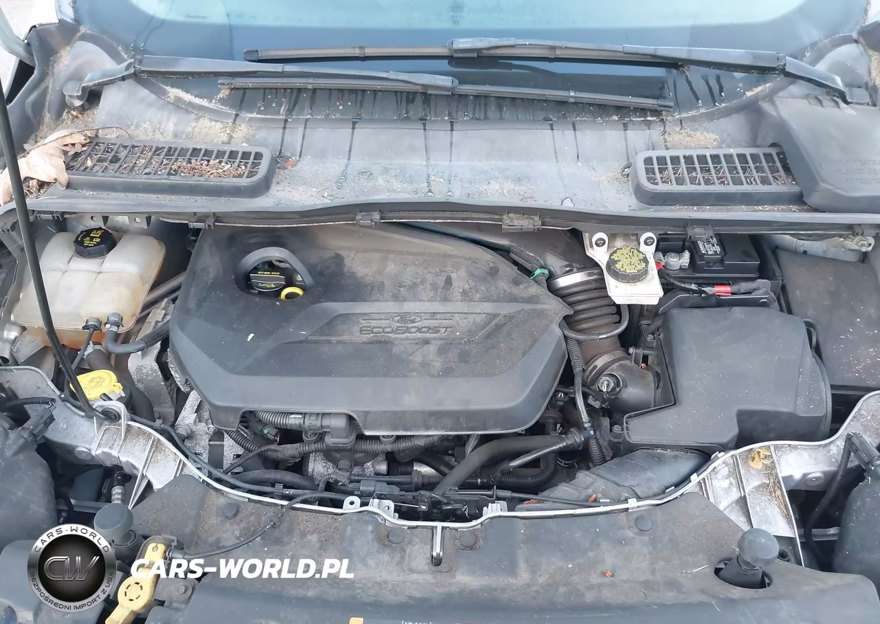 2014 Ford Escape Se VIN:1FMCU0GX8EUD69186 - 10