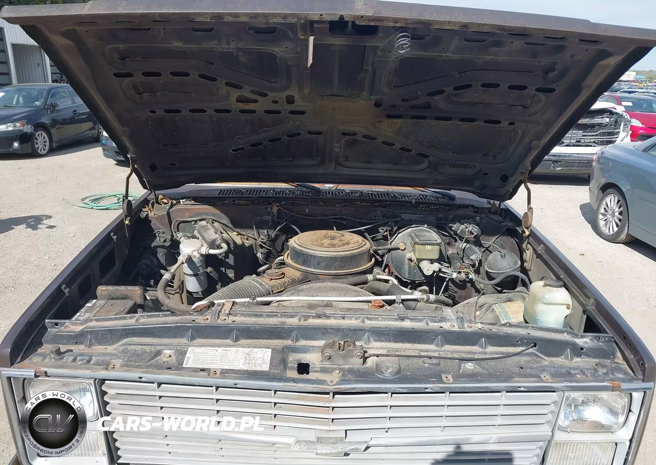 1984 Chevrolet C10 VIN:1GCDC14H3ES173103 - 10