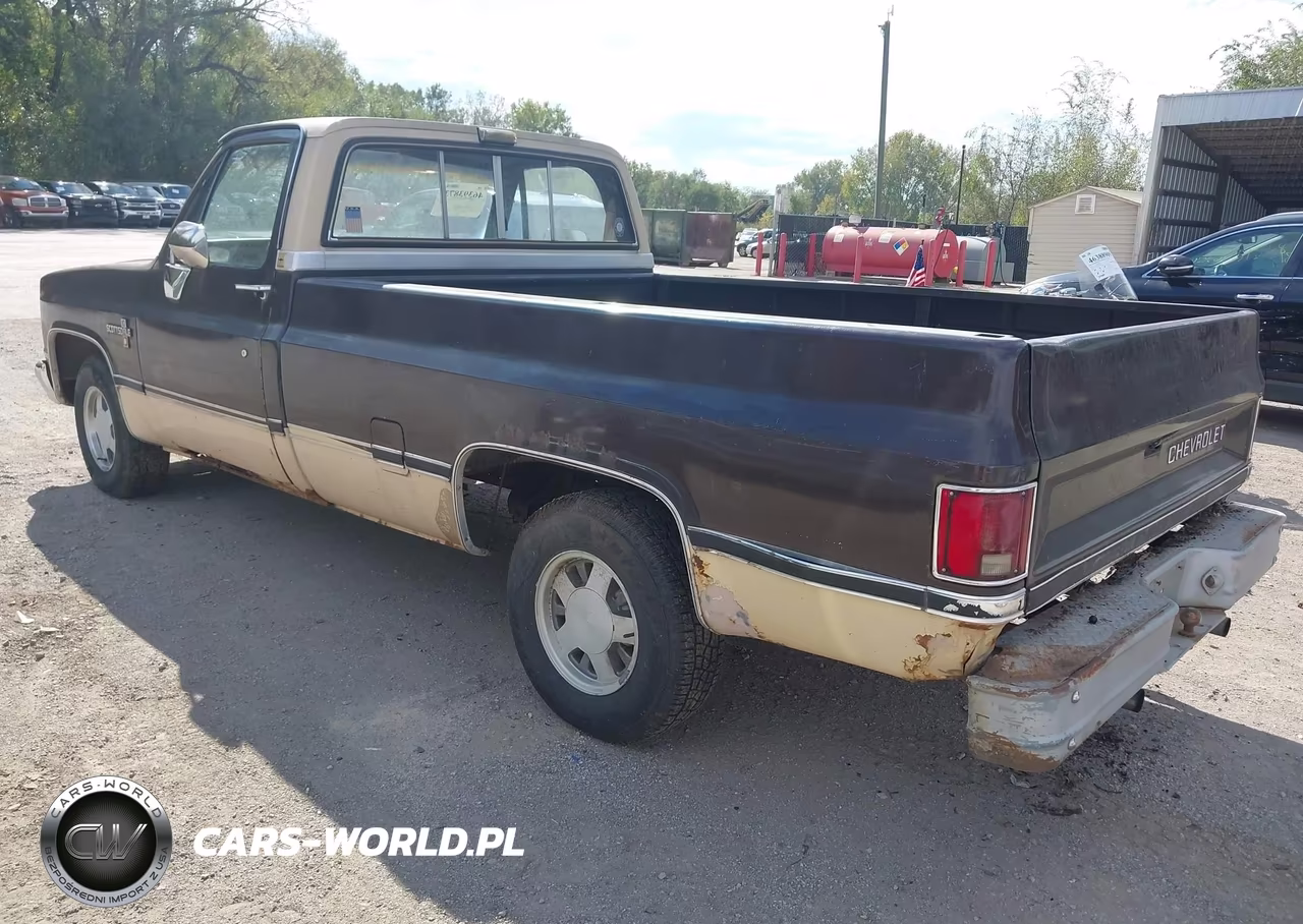 1984 Chevrolet C10 VIN:1GCDC14H3ES173103 - 3