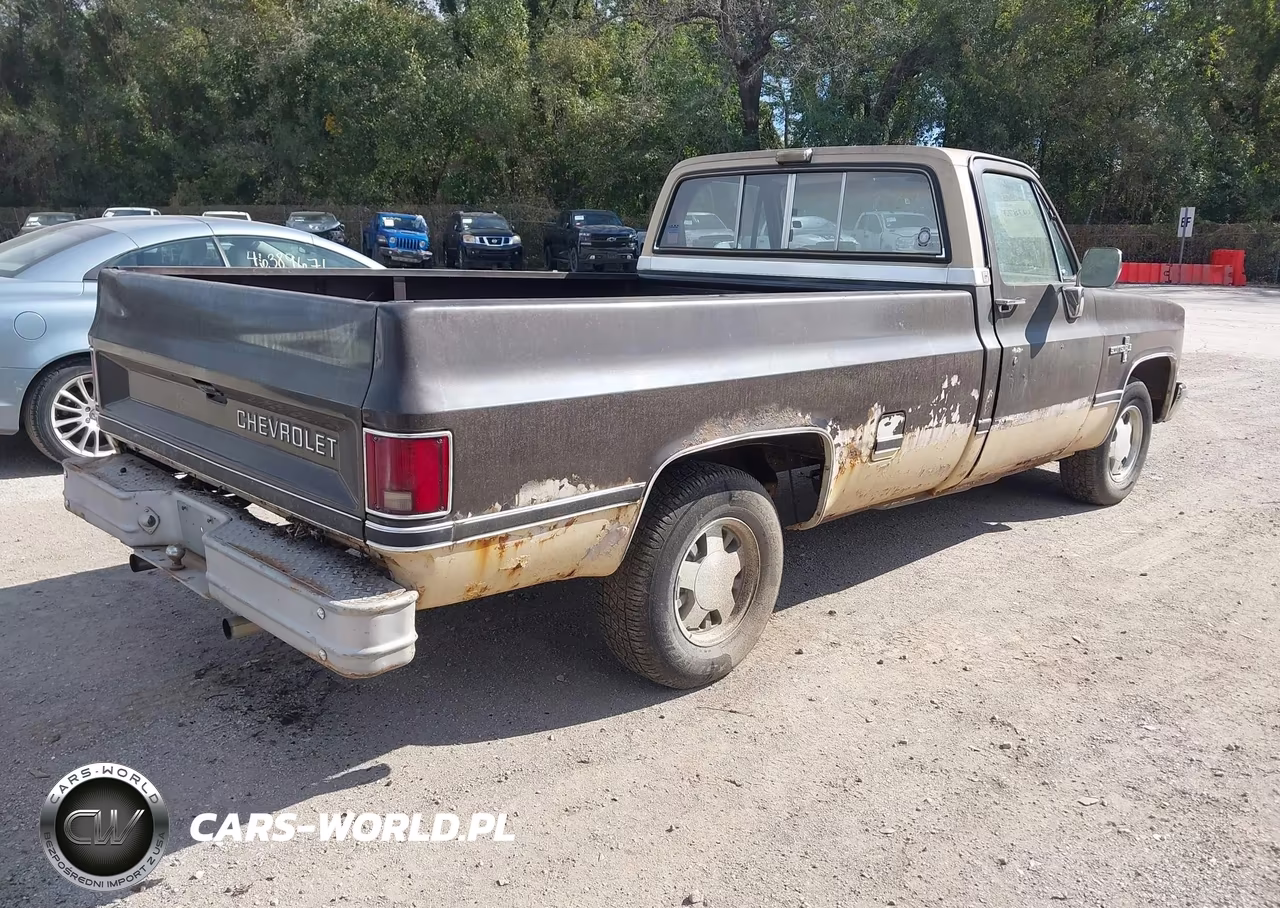 1984 Chevrolet C10 VIN:1GCDC14H3ES173103 - 4