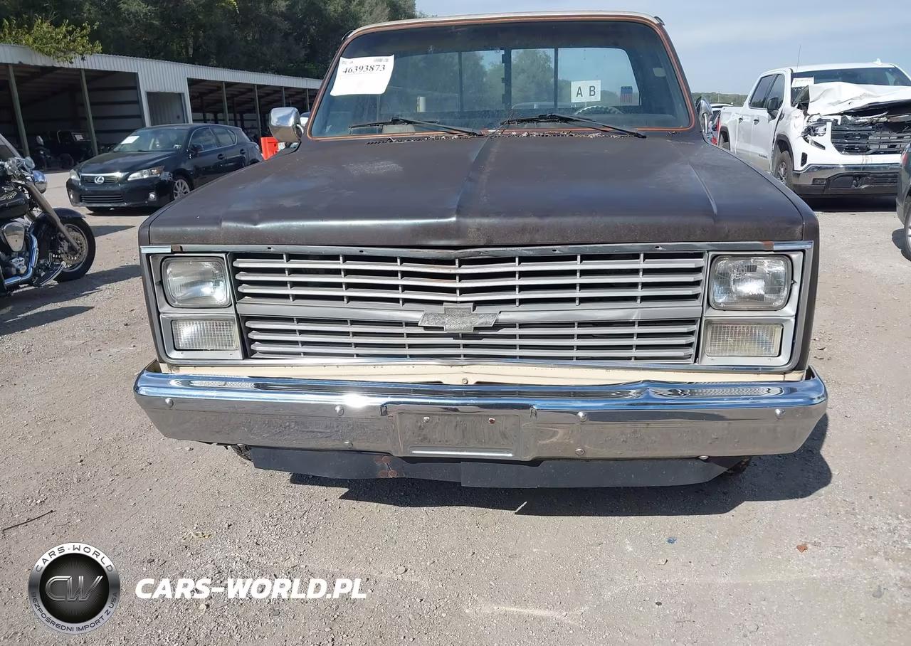 1984 Chevrolet C10 VIN:1GCDC14H3ES173103 - 6