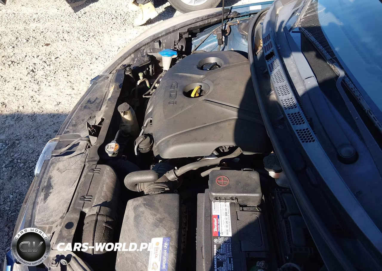 2014 Hyundai Elantra VIN:KMHDH6AH1EU024014 - 10