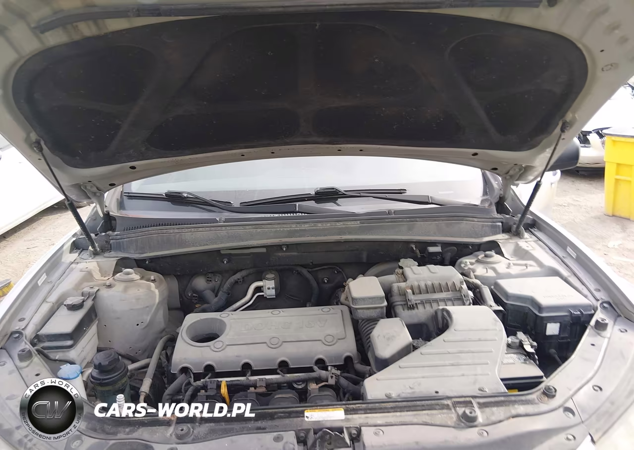2010 Hyundai Santa Fe Gls VIN:5NMSG3AB5AH339974 - 10