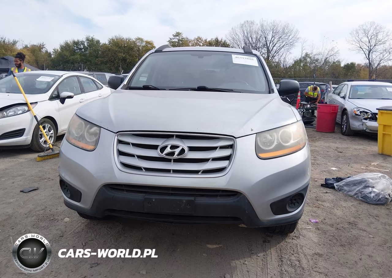 2010 Hyundai Santa Fe Gls VIN:5NMSG3AB5AH339974 - 6