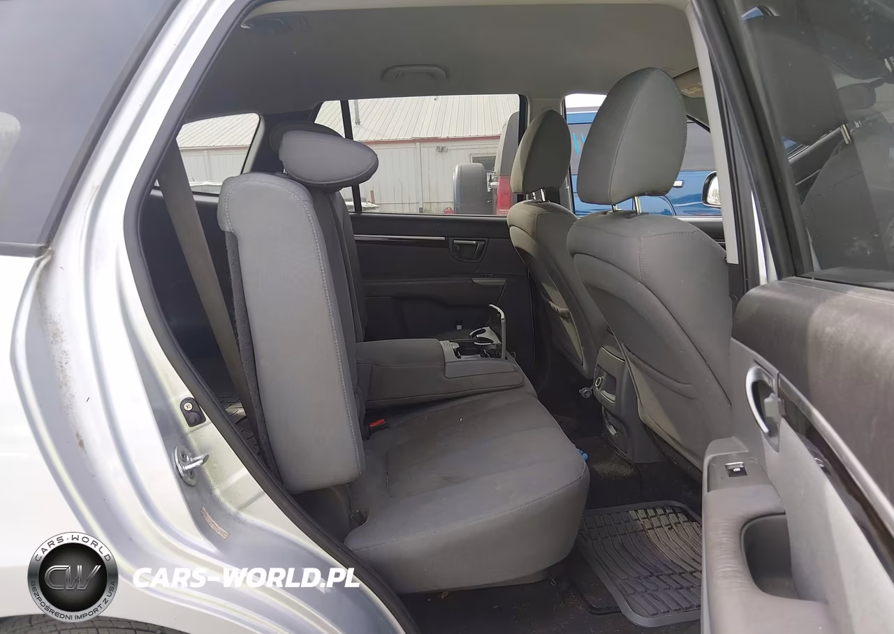 2010 Hyundai Santa Fe Gls VIN:5NMSG3AB5AH339974 - 8