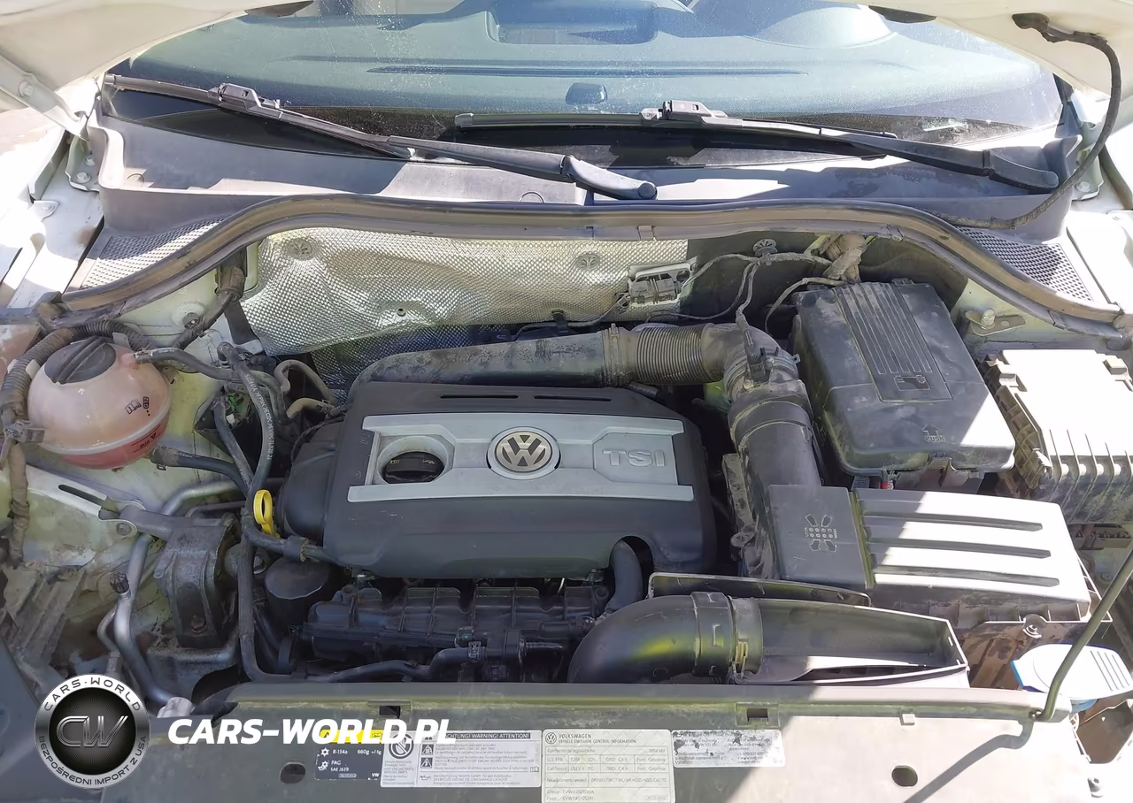 2014 Volkswagen Tiguan Sel VIN:WVGAV3AX2EW611487 - 10