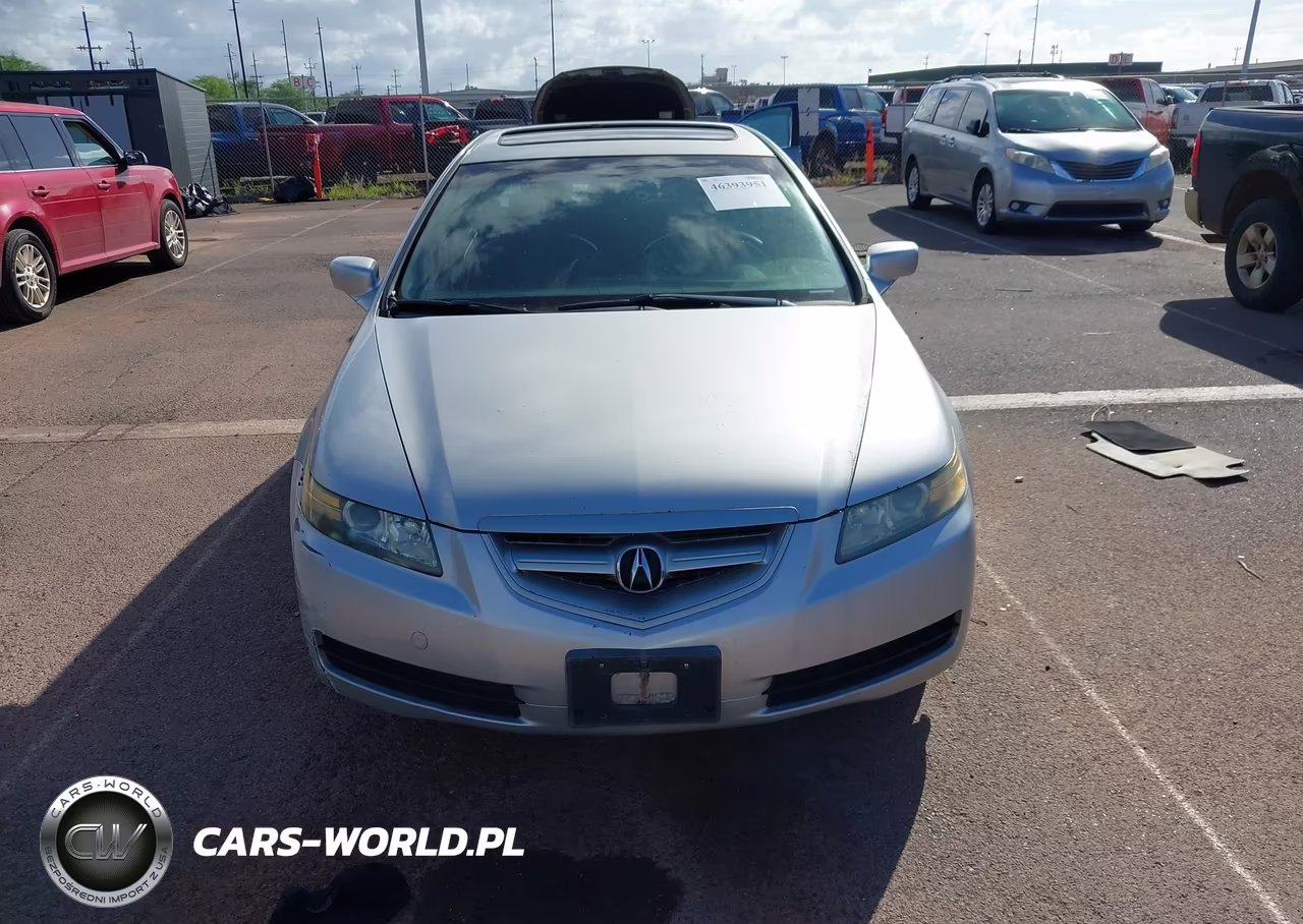 2004 ACURA TL VIN:19UUA66224A049793 - 6