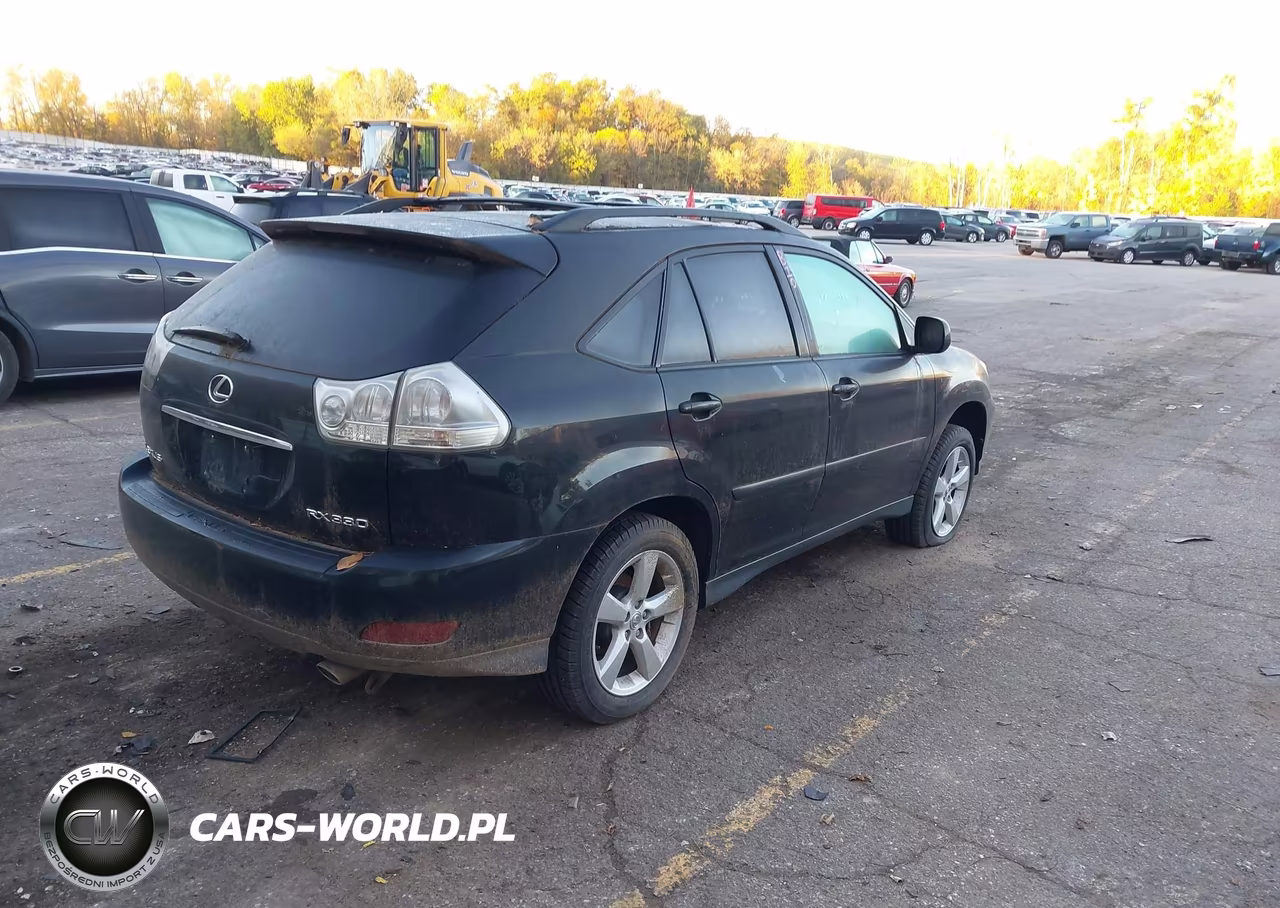 2005 Lexus Rx 330 VIN:2T2HA31U15C045654 - 4
