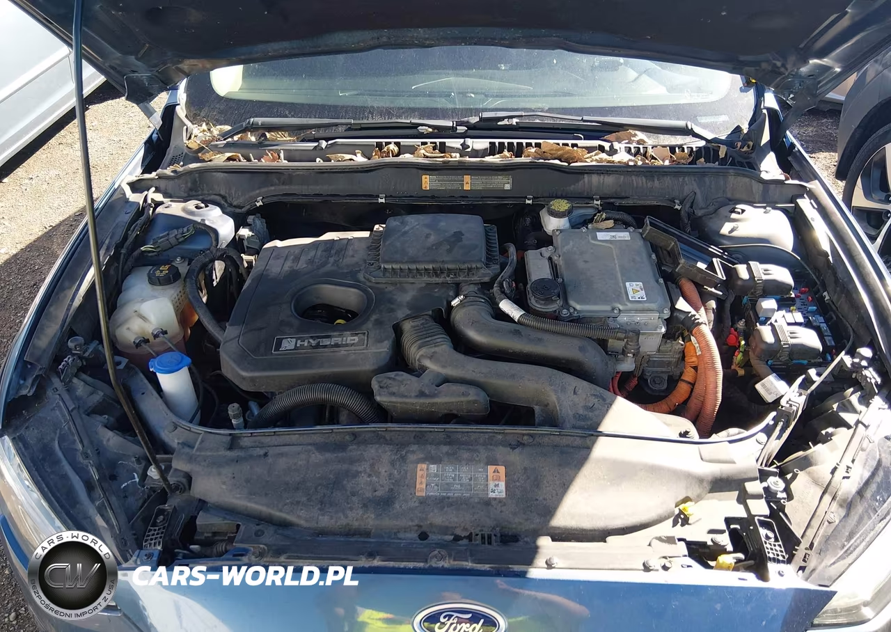 2018 Ford Fusion Hybrid Se VIN:3FA6P0LU6JR269809 - 10