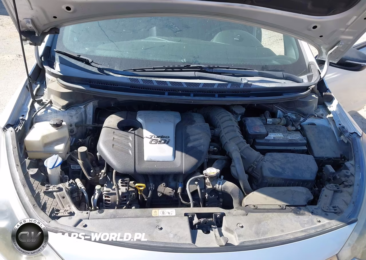 2016 Kia Forte Sx VIN:KNAFZ5A35G5494517 - 10
