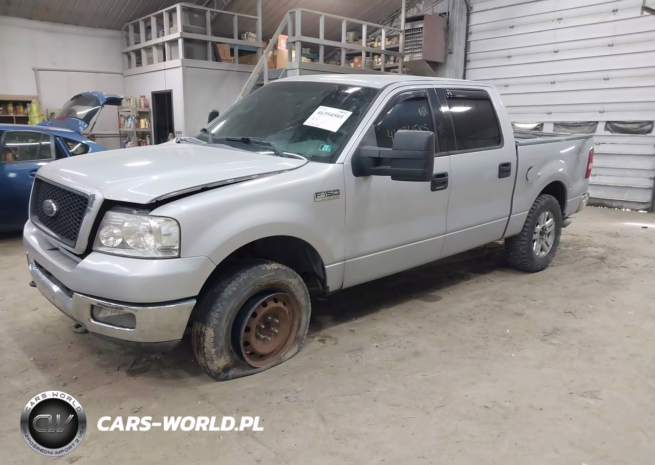 2004 Ford F-150 Fx4-Lariat-Xlt VIN:1FTPW14594KD69667 - 2
