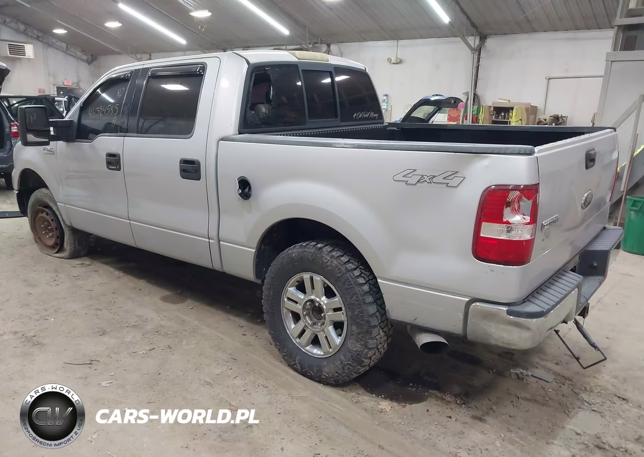 2004 Ford F-150 Fx4-Lariat-Xlt VIN:1FTPW14594KD69667 - 3