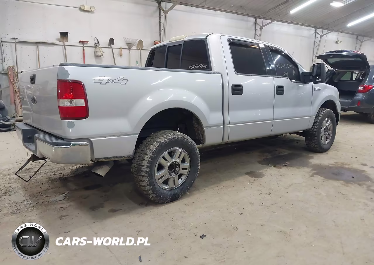 2004 Ford F-150 Fx4-Lariat-Xlt VIN:1FTPW14594KD69667 - 4