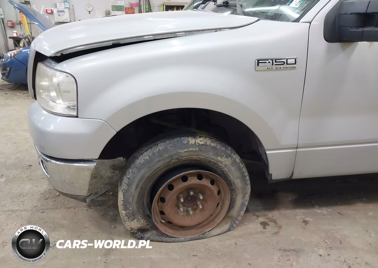2004 Ford F-150 Fx4-Lariat-Xlt VIN:1FTPW14594KD69667 - 6