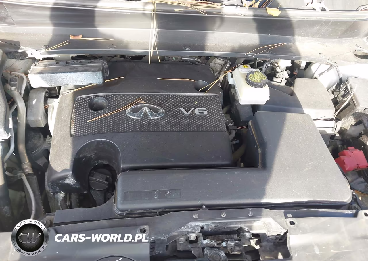 2014 Infiniti Qx60 VIN:5N1AL0MN4EC524772 - 10