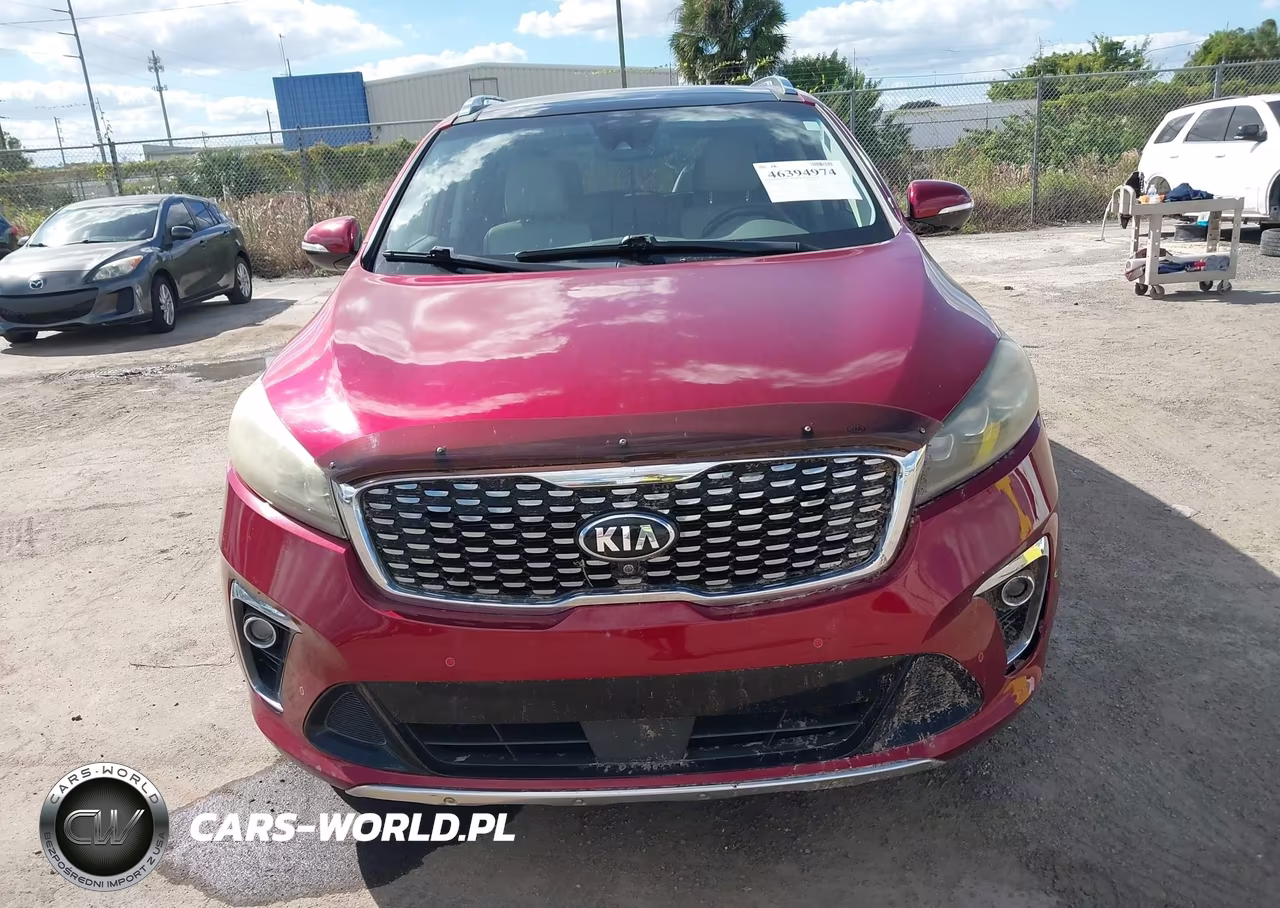 2019 Kia Sorento 3.3L Sx VIN:5XYPK4A53KG565088 - 12
