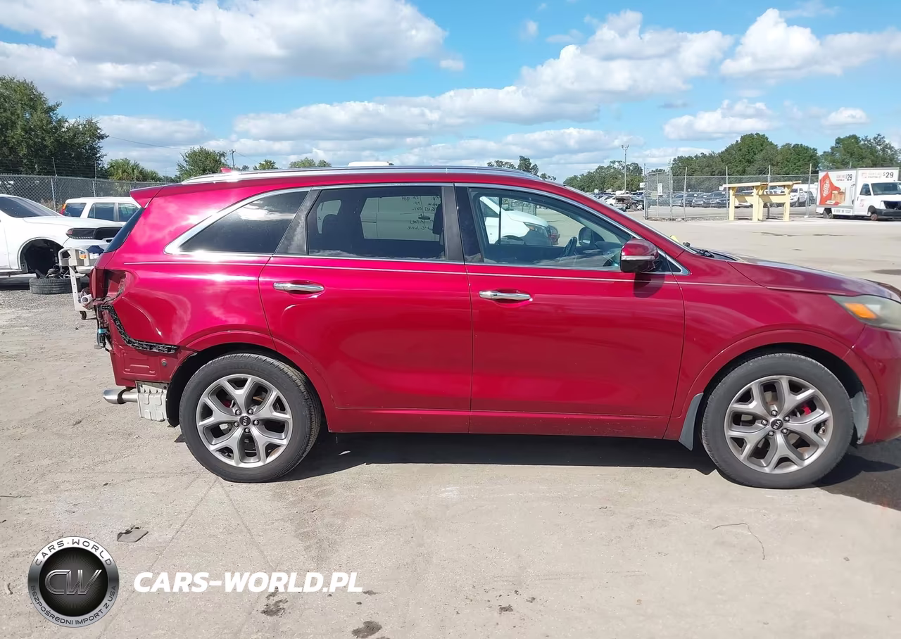 2019 Kia Sorento 3.3L Sx VIN:5XYPK4A53KG565088 - 13