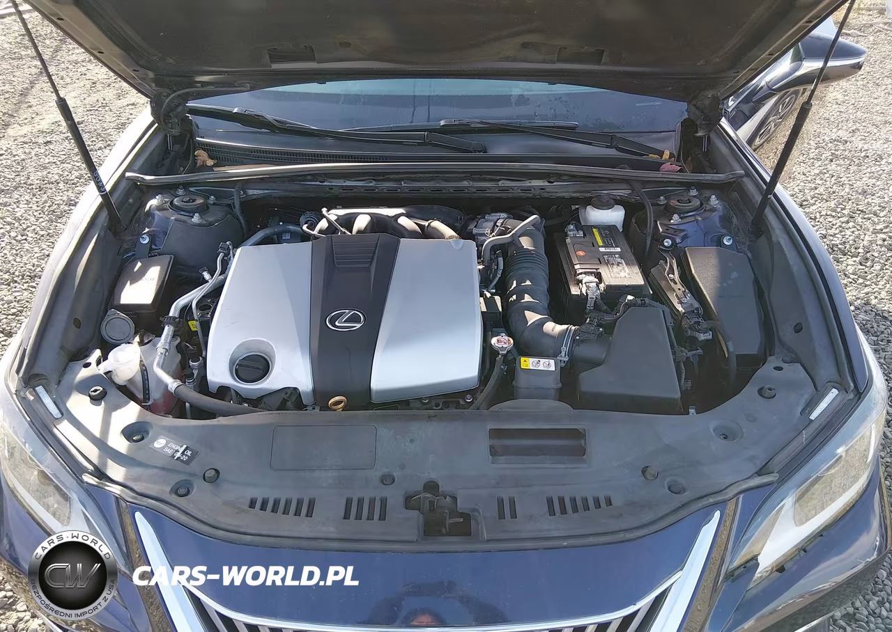 2020 Lexus Es 350 VIN:58ADZ1B17LU074682 - 10