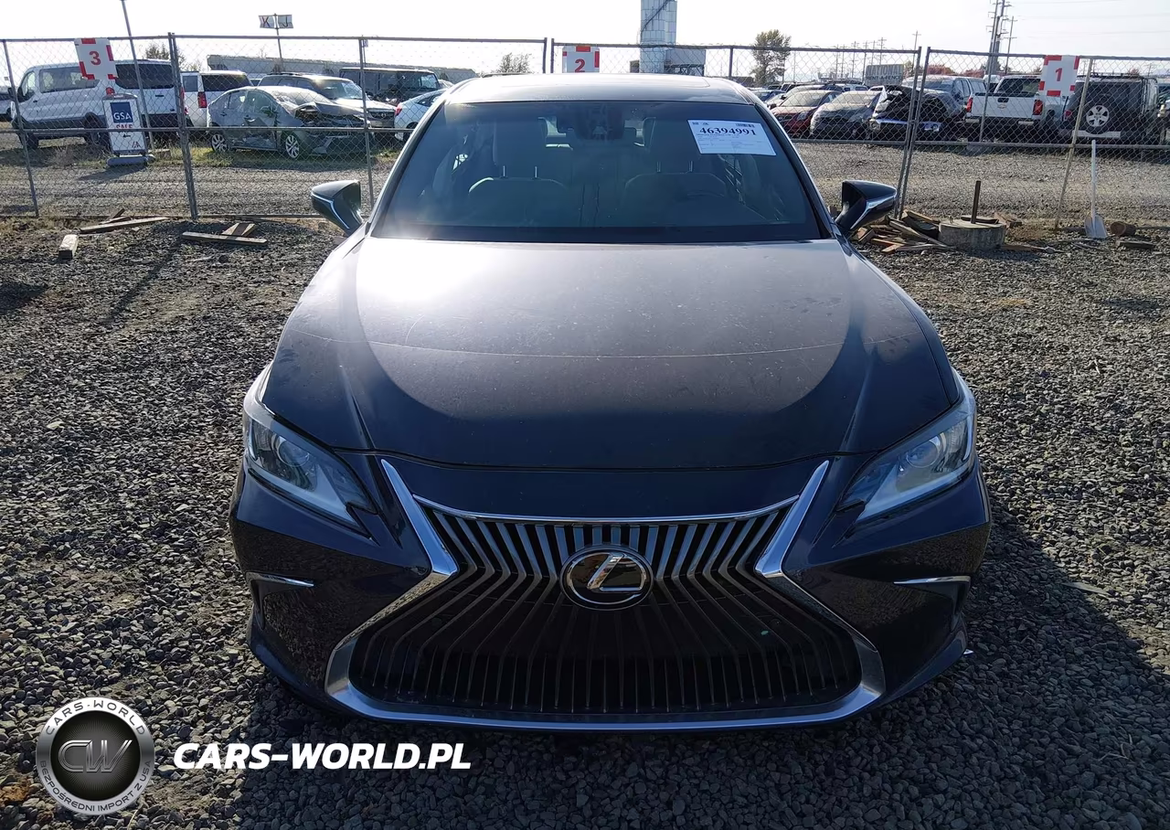 2020 Lexus Es 350 VIN:58ADZ1B17LU074682 - 12