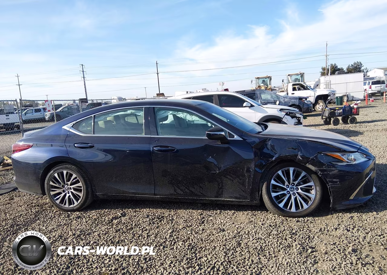 2020 Lexus Es 350 VIN:58ADZ1B17LU074682 - 13