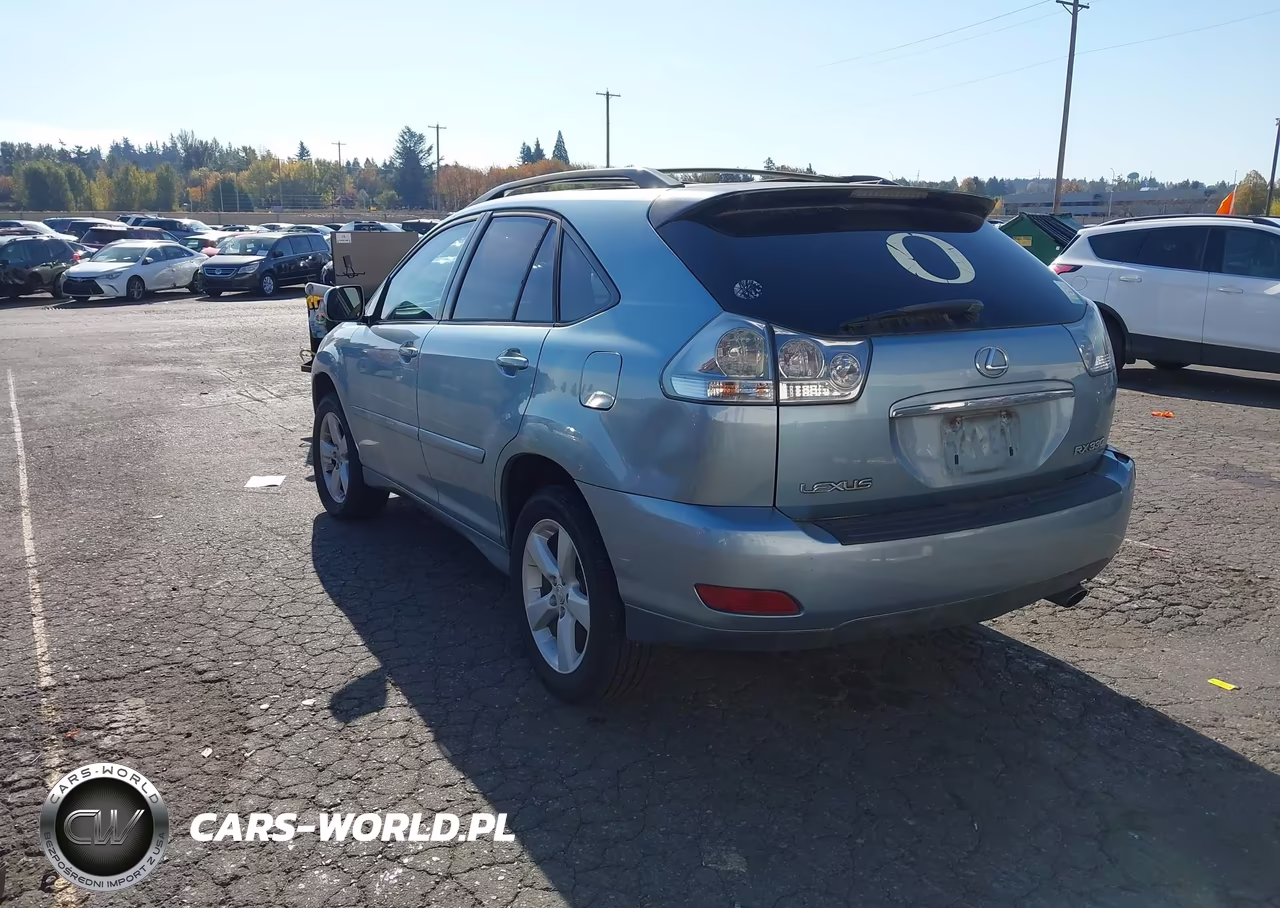 2005 Lexus Rx 330 VIN:2T2HA31U65C077564 - 3
