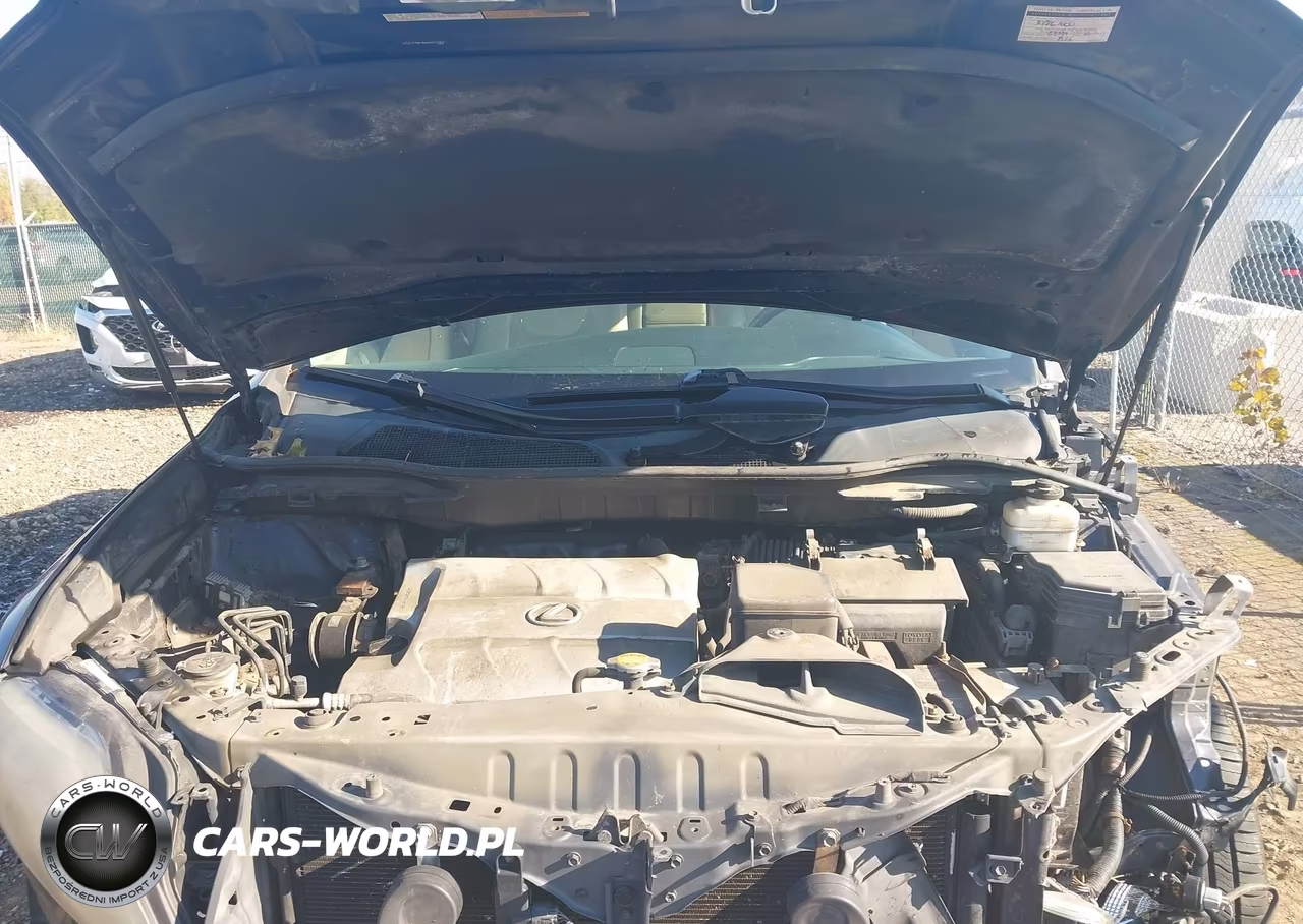 2010 Lexus Rx 350 VIN:2T2BK1BA0AC012957 - 10