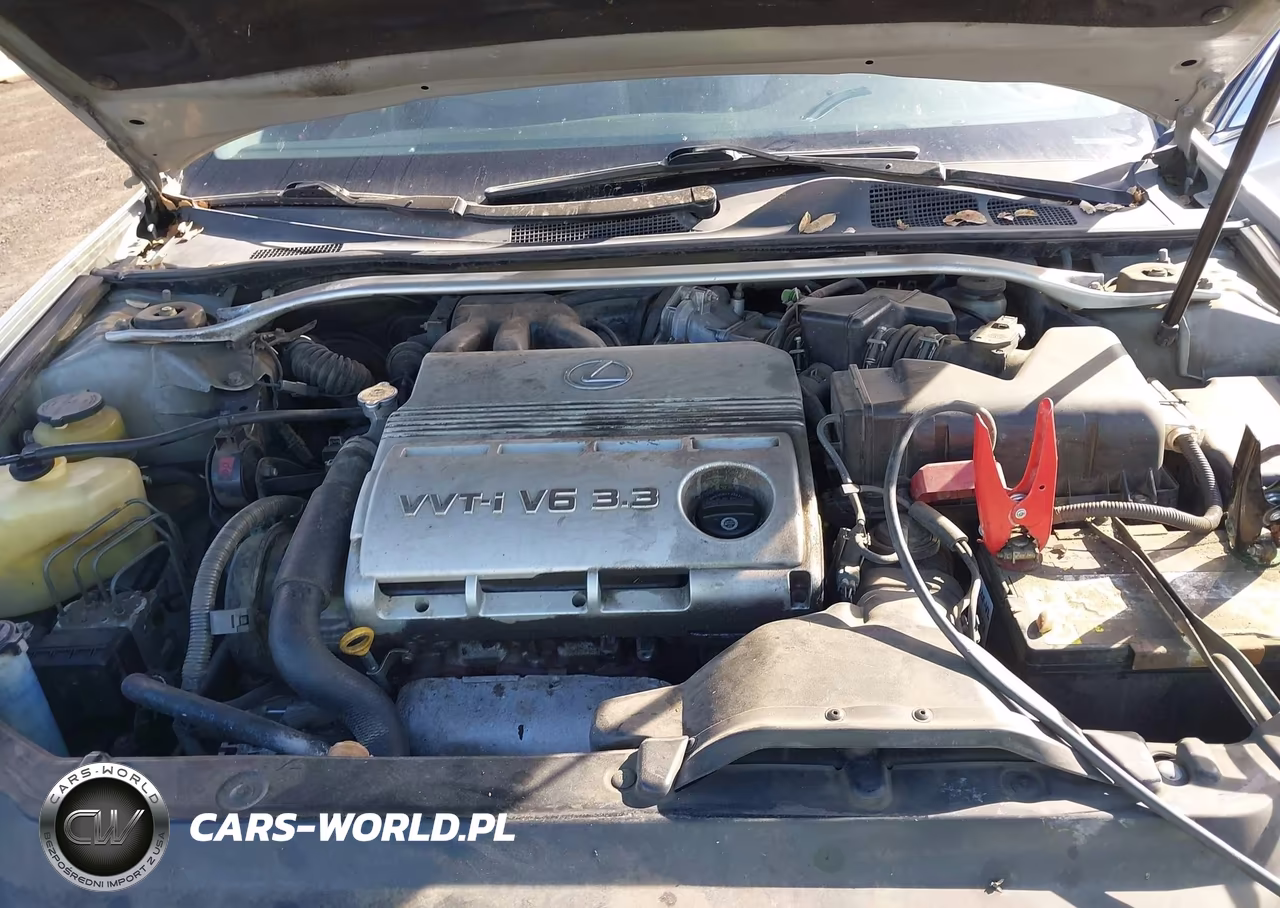 2004 Lexus Es 330 VIN:JTHBA30G240018606 - 10