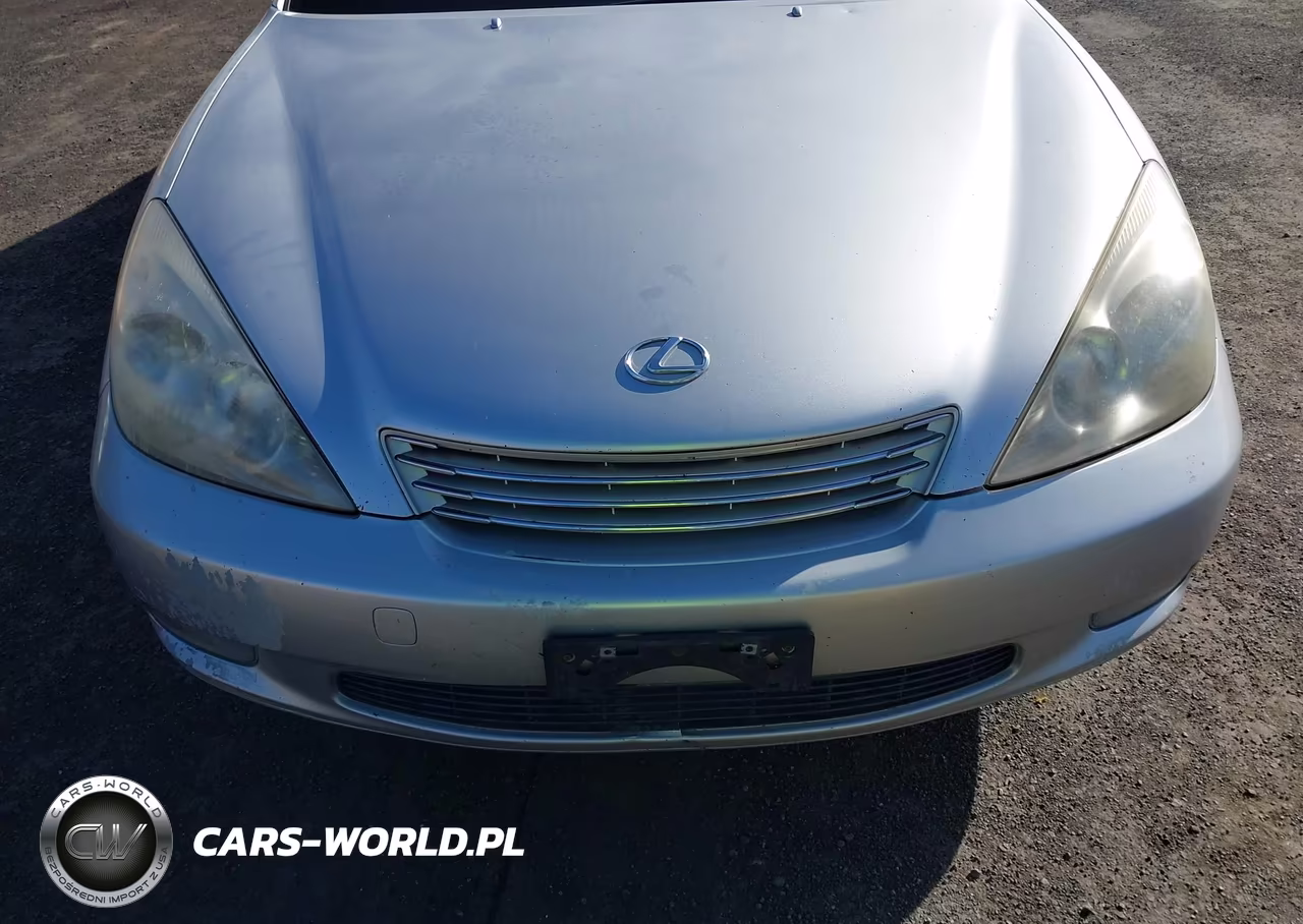 2004 Lexus Es 330 VIN:JTHBA30G240018606 - 6