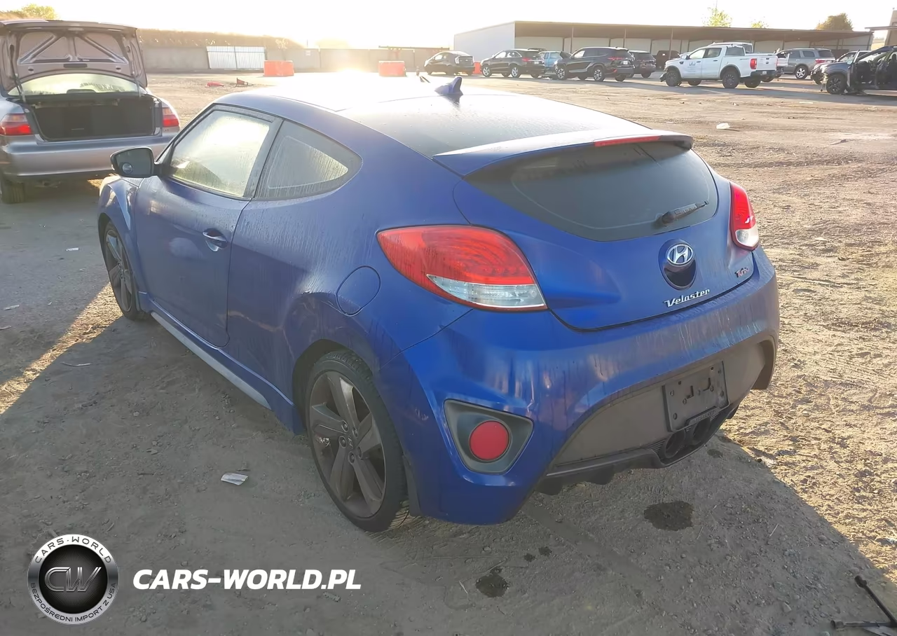 2013 Hyundai Veloster Turbo W-Black VIN:KMHTC6AE1DU158312 - 3
